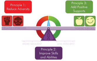 Resilience Scale with principles